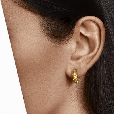 Roller-Coaster | Earrings Silver 925 Gold Plated